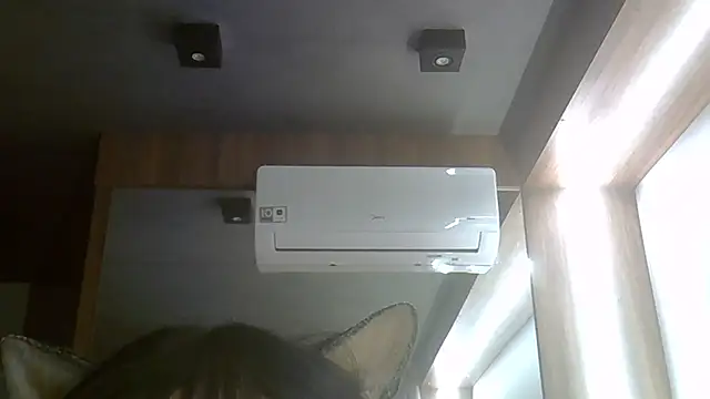 SkinnyKitten webcam