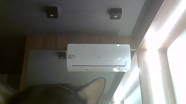 SkinnyKitten webcam