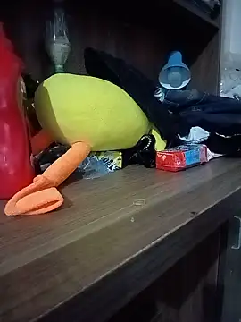 Py_kity