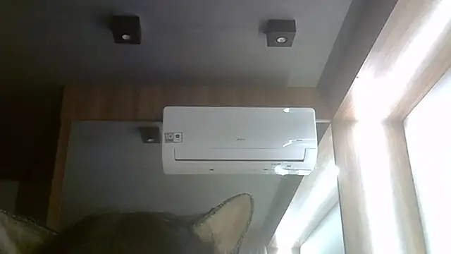 SkinnyKitten webcam