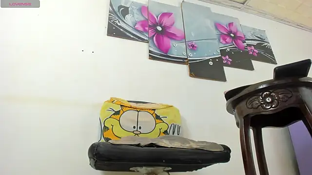 baiolethX webcam