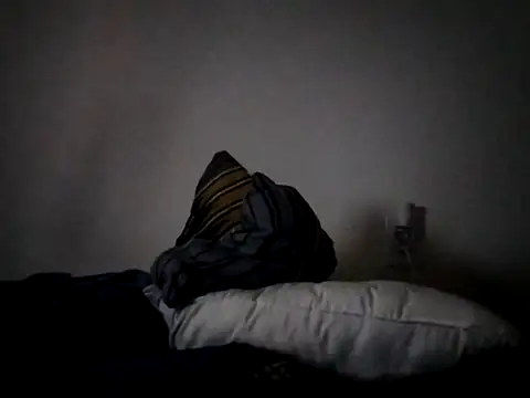 Q1357q webcam
