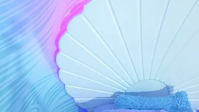 Kendall_curves webcam