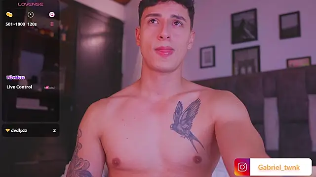 I_Gabriel webcam