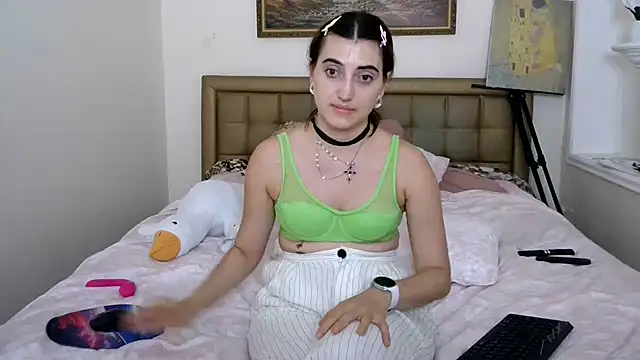 Iren webcam