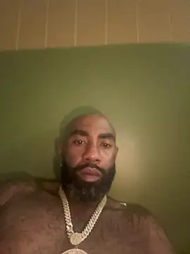 QHefner52 webcam