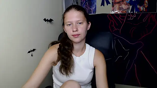 StellaCRL webcam