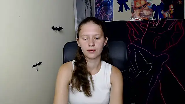 StellaCRL webcam