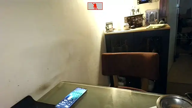 Hgay6935 webcam