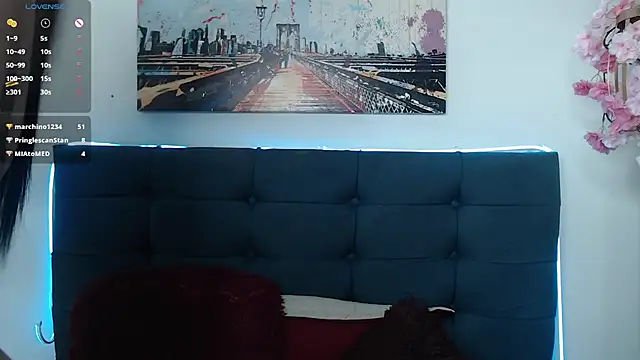eva_six webcam