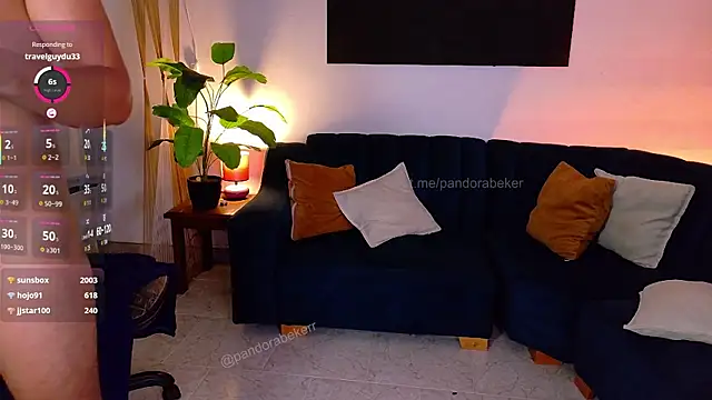pandorabeker webcam