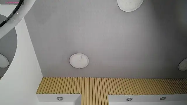 1Sloppy_Fox4 webcam