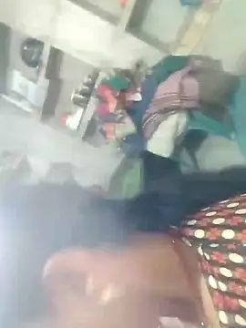 Loomaraj webcam