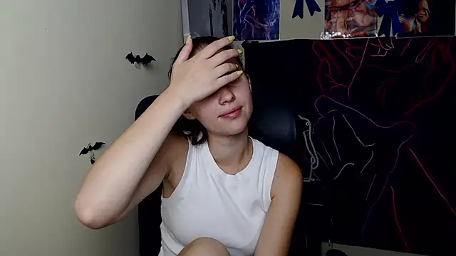 StellaCRL webcam