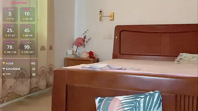 Linda-LL webcam