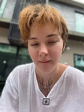 IceMur webcam