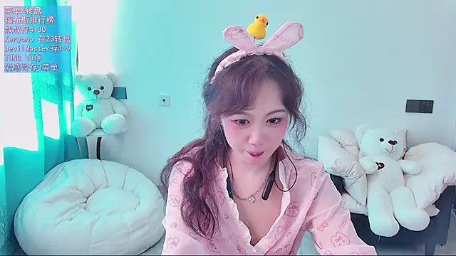 swie111 webcam