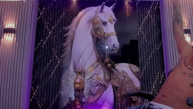 the_knights_of_the_night_ webcam