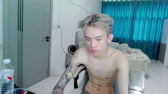 KPL-11 webcam