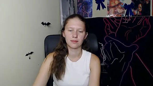 StellaCRL webcam