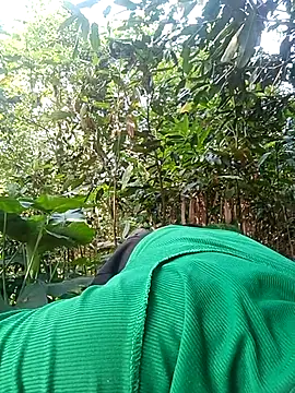 Linkk-2k