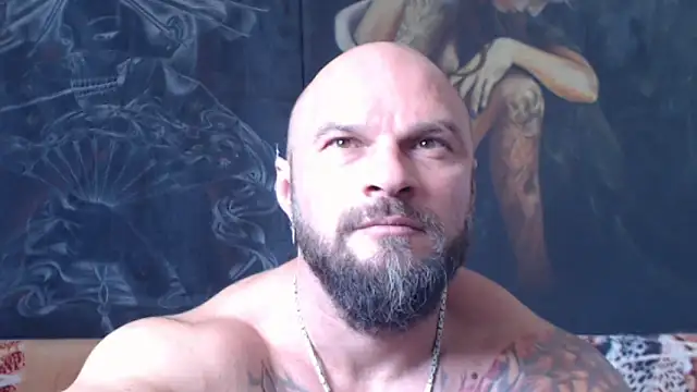 viking_30 webcam