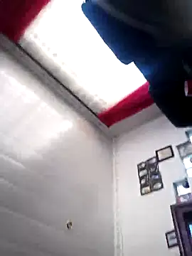 Thaps_deDick webcam