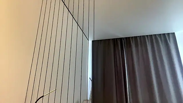ManyDozens webcam