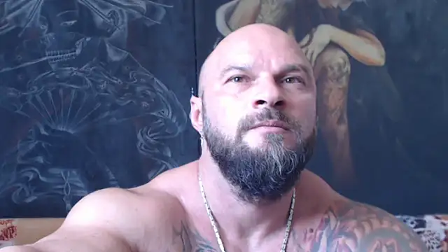 viking_30 webcam