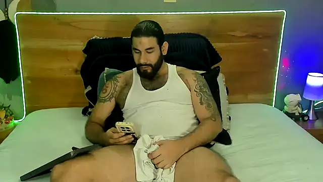 Prometeo-grizzly webcam