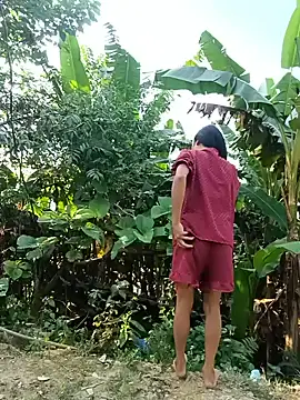 Hoa-tuylip webcam