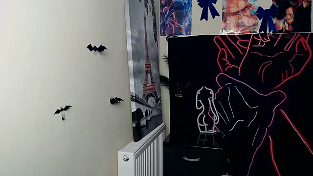 StellaCRL webcam