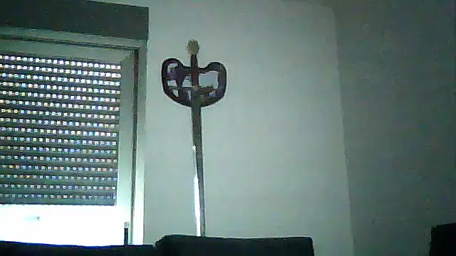 SirFrankonde webcam