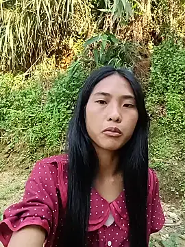 Hoa-tuylip