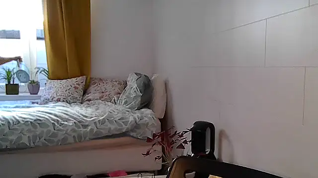 belgianshantie webcam