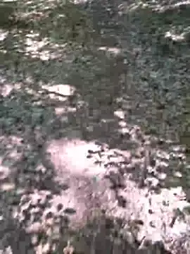 Nero19933 webcam