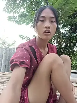 Hoa-tuylip webcam