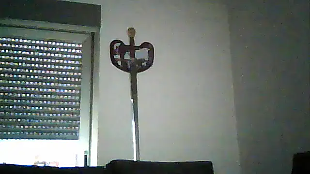 SirFrankonde webcam