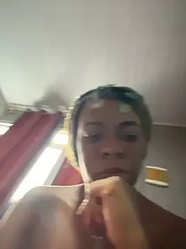 Priihmedeiros