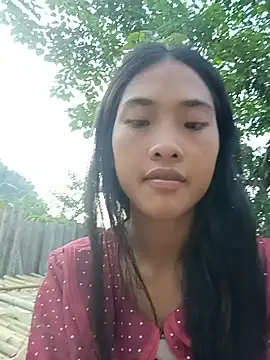hoa-tuylip