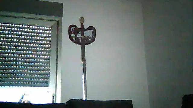SirFrankonde webcam