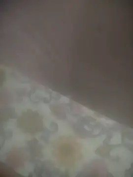 7629887628 webcam