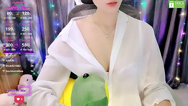 Dully_ana webcam