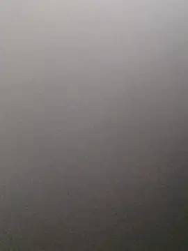 Molly_newman6 webcam