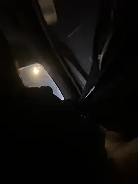 wagoudan live cam