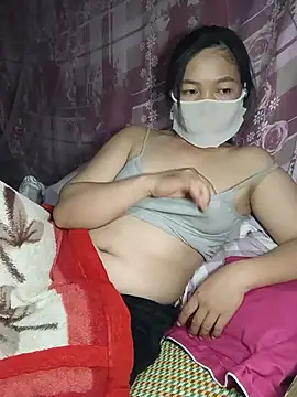 Hiha-nn webcam