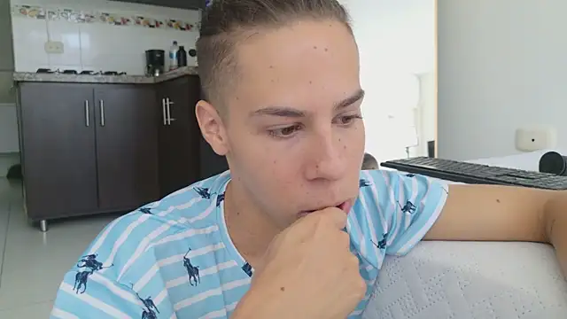 grey___27 webcam