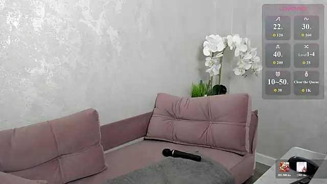 Dixon_Ross webcam