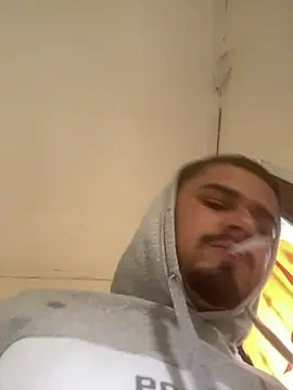 novinhodopaugraudo