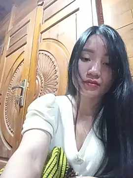 Td3di webcam